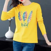 Осенняя модная футболка, лонгслив, длинный рукав, в корейском стиле, оптовые продажи