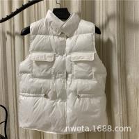 Короткий демисезонный жилет, приталенный бархатный корсет, коллекция 2023, утиный пух