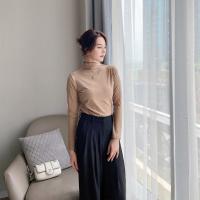 Осенний лонгслив, одежда для верхней части тела, футболка, высокий воротник, длинный рукав