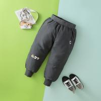 Детские брюки в осень и зимние детские брюки теплые брюки модная тенденция Big C White Duck Down Boys Boy