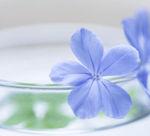 Универсальная разница в съемках.